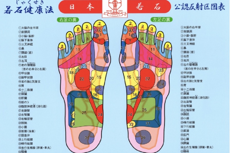 鹿児島県でマッサージを行う足もみサロンアルムが好評です